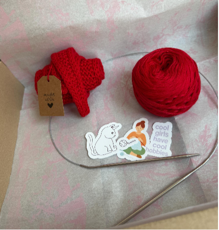 Beginner Knitting Kit – Yarn, Circular Needles, Pattern, Stickers (DIY Craft Box)