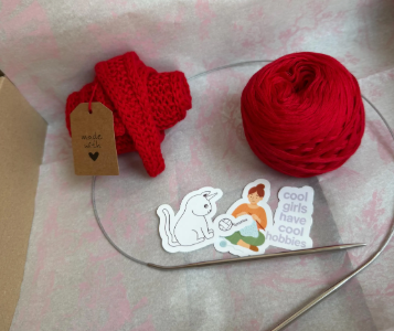 Beginner Knitting Kit – Yarn, Circular Needles, Pattern, Stickers (DIY Craft Box)